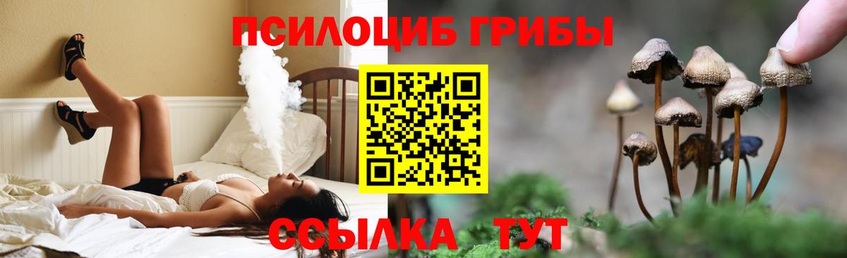 Галлюциногенные грибы Psilocybine cubensis Майкоп